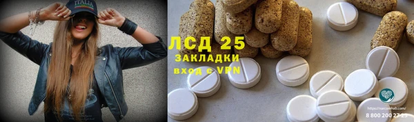 стафф Валдай
