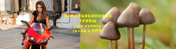 спайс Армянск
