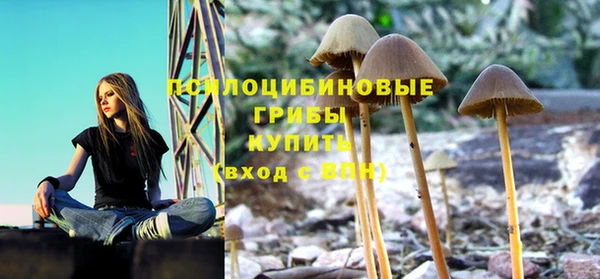 спайс Армянск